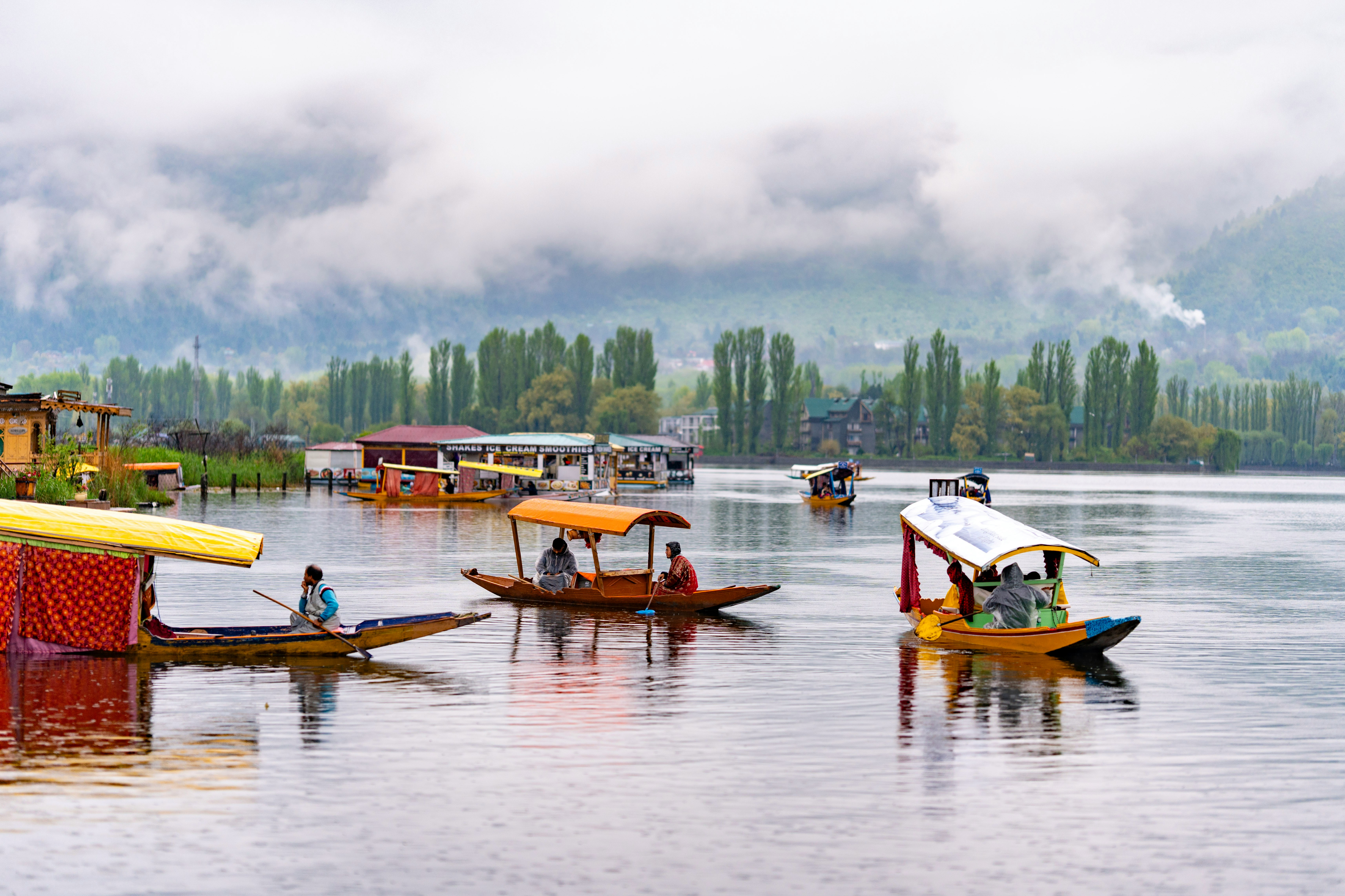 Kashmir Tulip Special Package - 4 Nights
