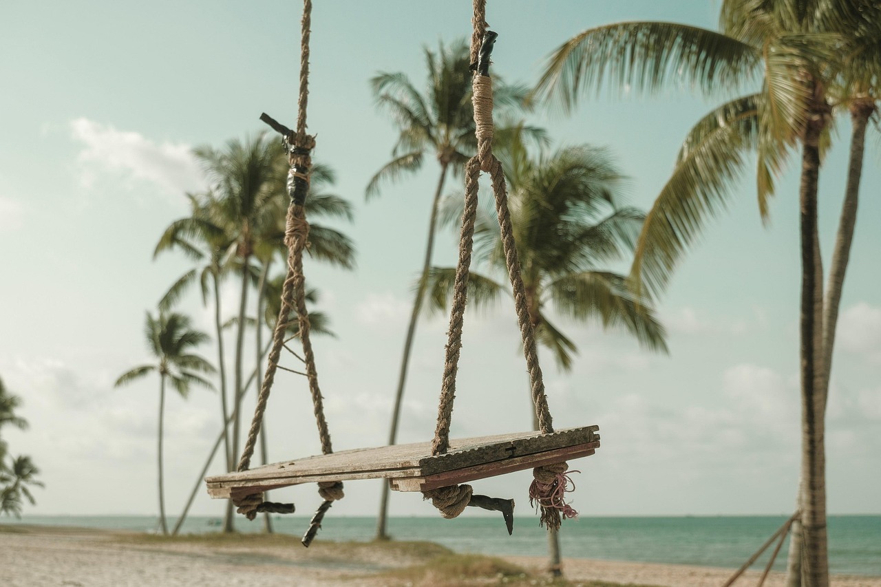 Beaches and City Lights of Vietnam